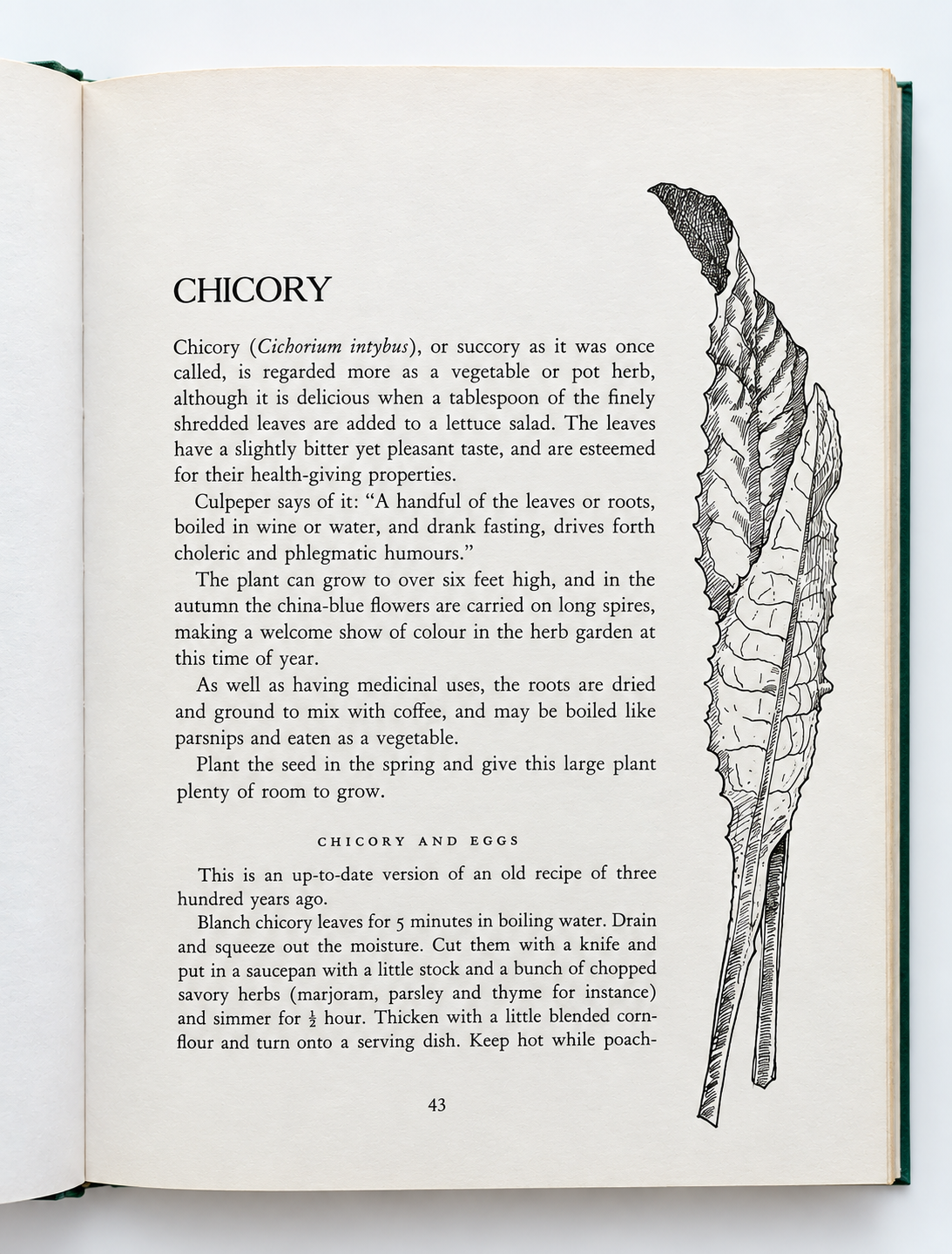 Cooking with Herbs and Spices