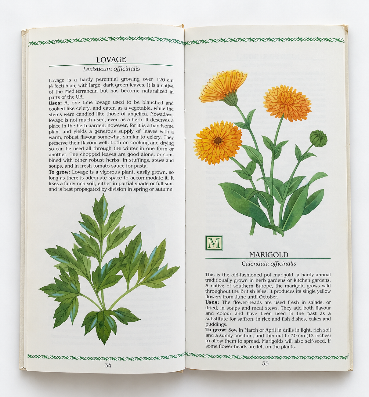 The Book of Herbs and Spices