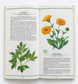 The Book of Herbs and Spices
