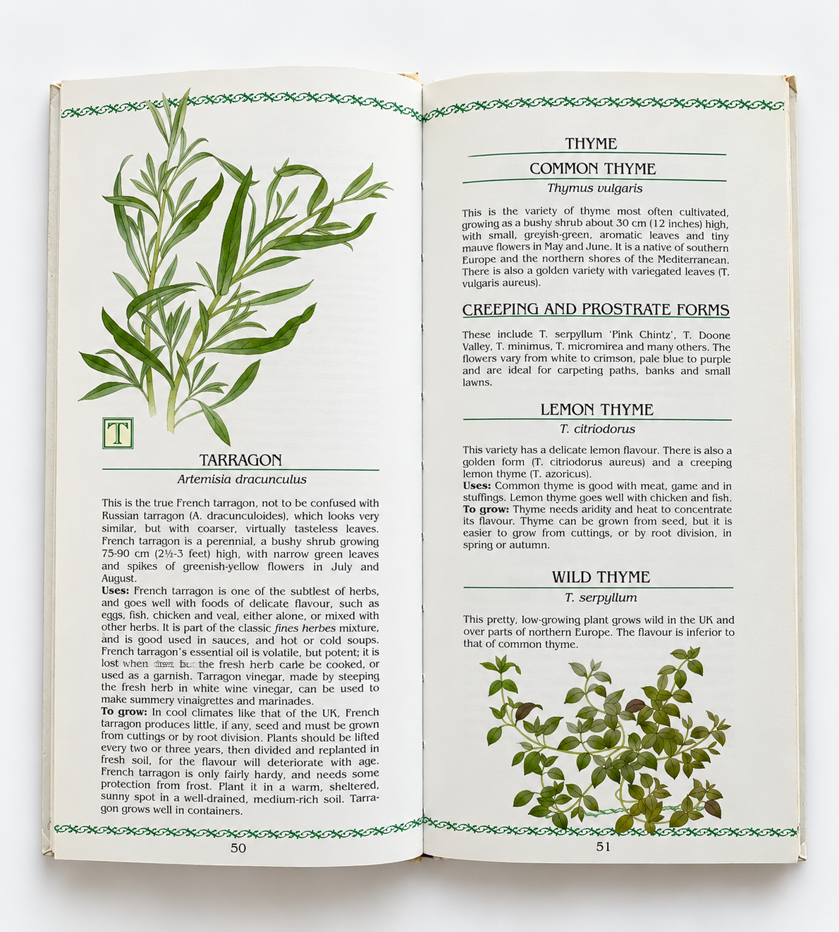 The Book of Herbs and Spices